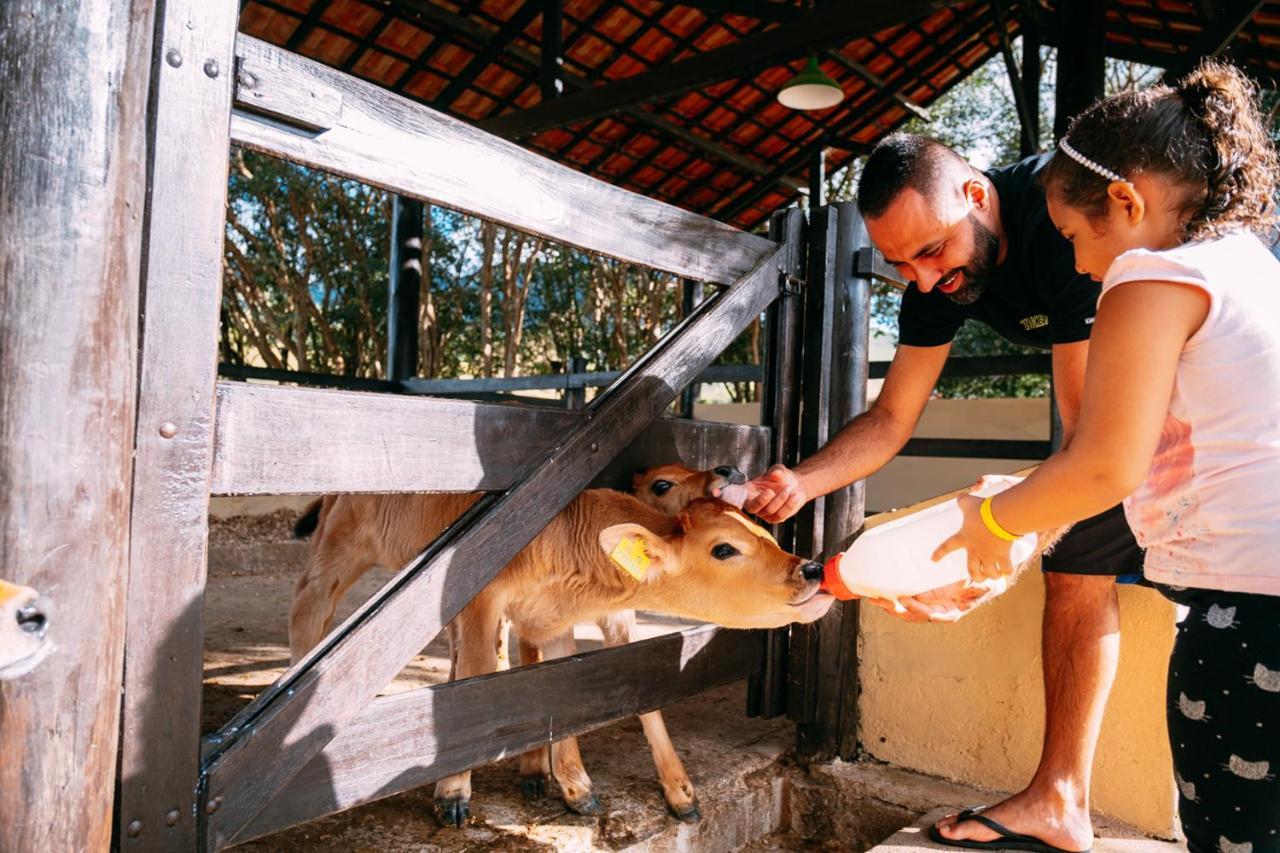 Hotel Fazenda Vale Da Mantiqueira Virgínia Eksteriør bilde